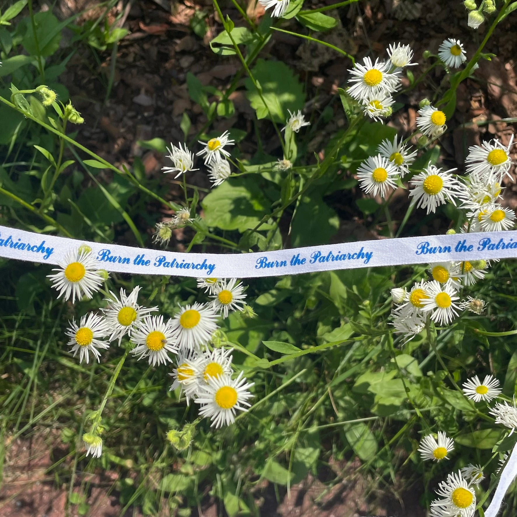 Cotton ribbon